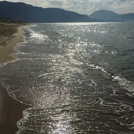Sea-life
