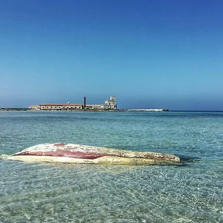 Sea-life Holiday home