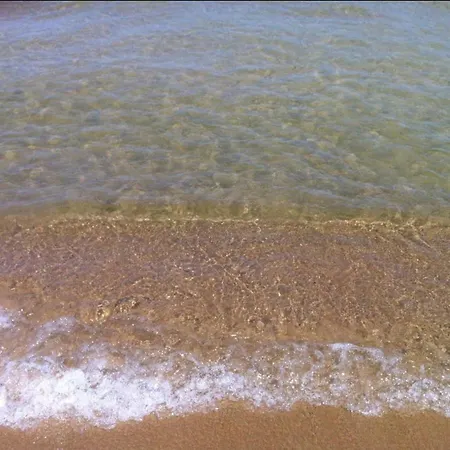 Sea-life *