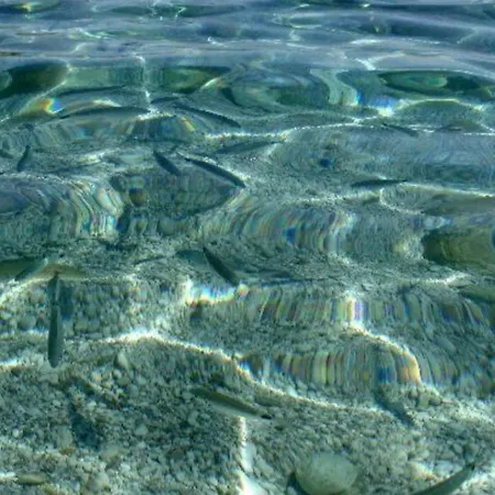 Sea-life * Alcamo Marina